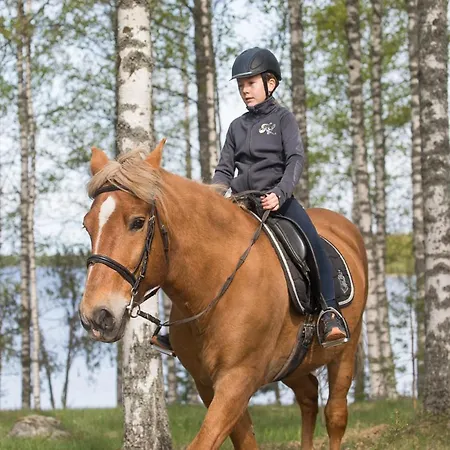Hauki, Puruvesi Lakeside By * Naaranlahti